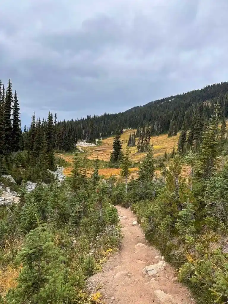 Overlord Trail in Whistler