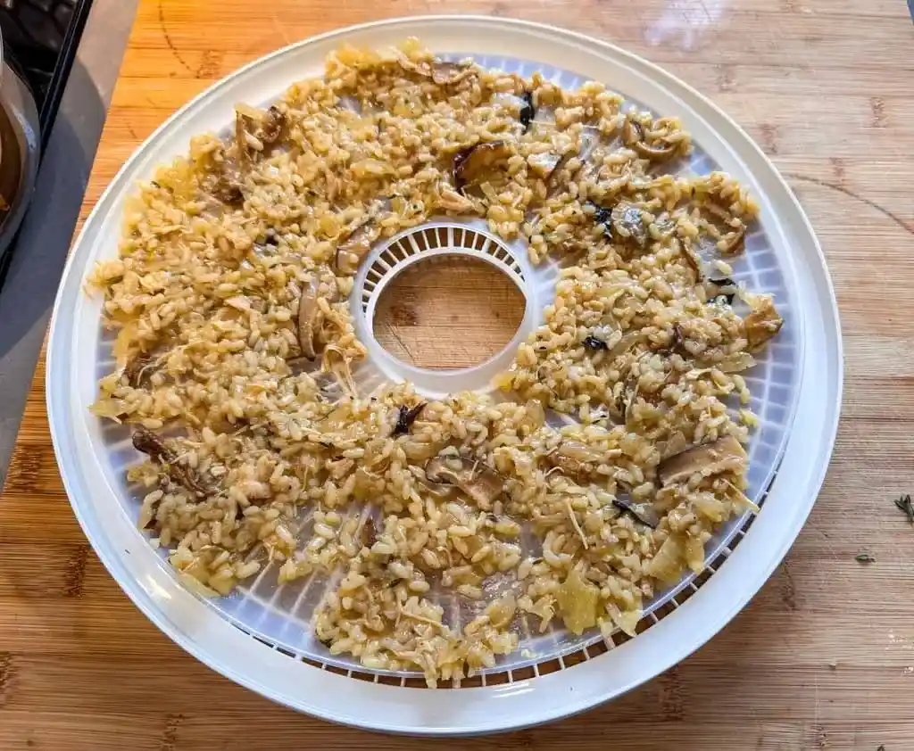 Mushroom risotto on a dehydrator tray. 