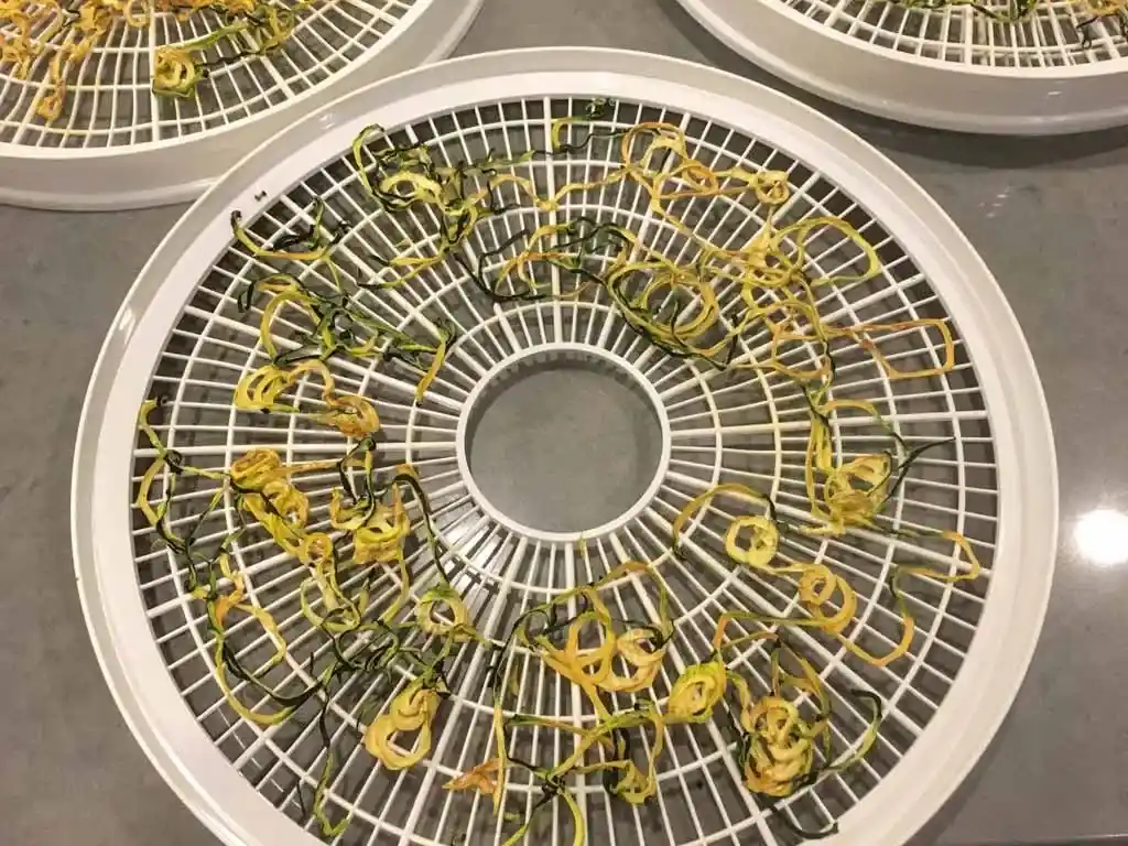 Home dehydrated zucchini noodles