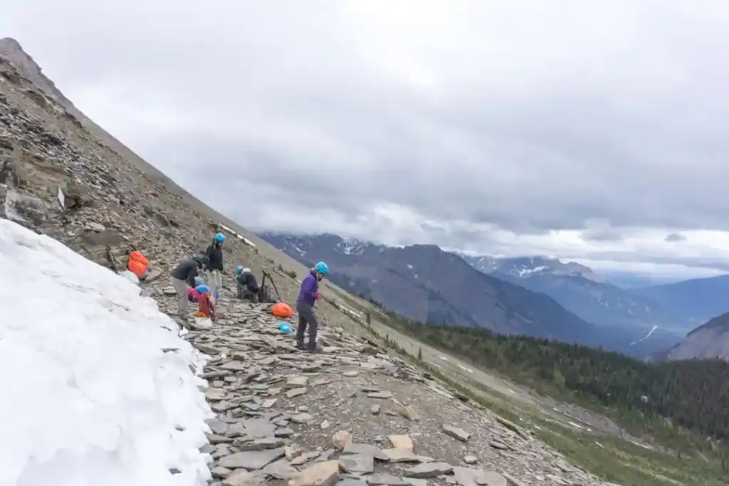 Hikers at the Walcott Quarry in Yoho National Park looking at Burgess Shale fossils