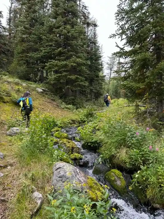 Hikers walk next to a stream near Black Rock Lake