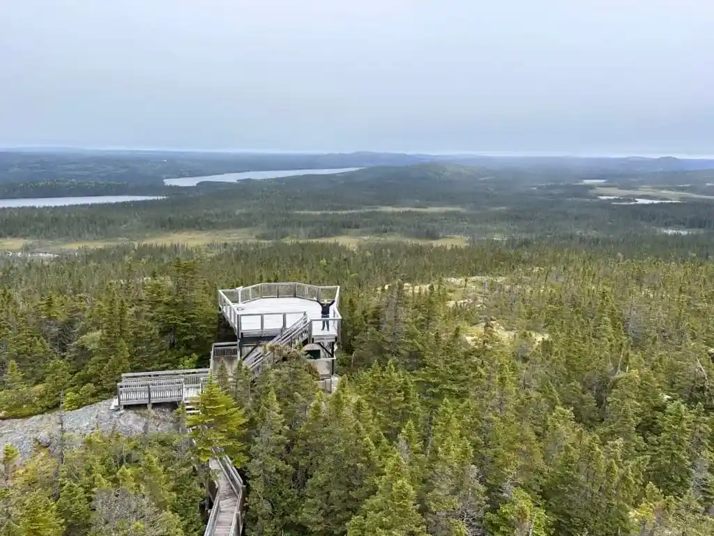 The view from the Ochre Hill Fire Tower in Terra Nova National Park