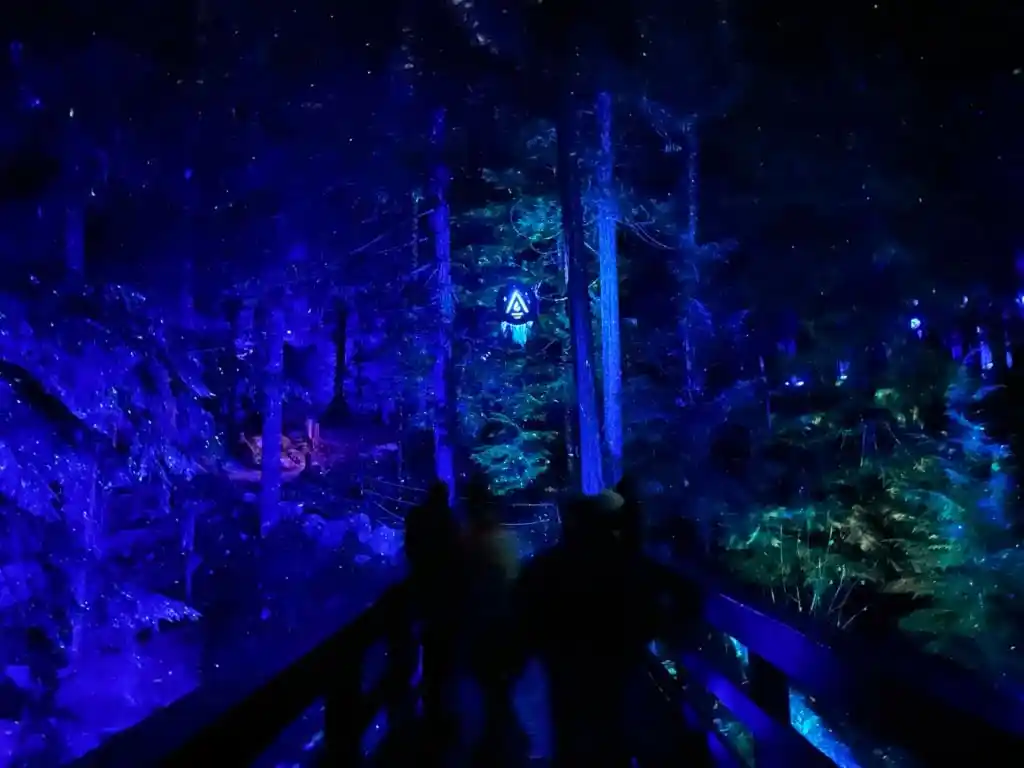 People walk through the Vallea Lumina light walk in Whistler