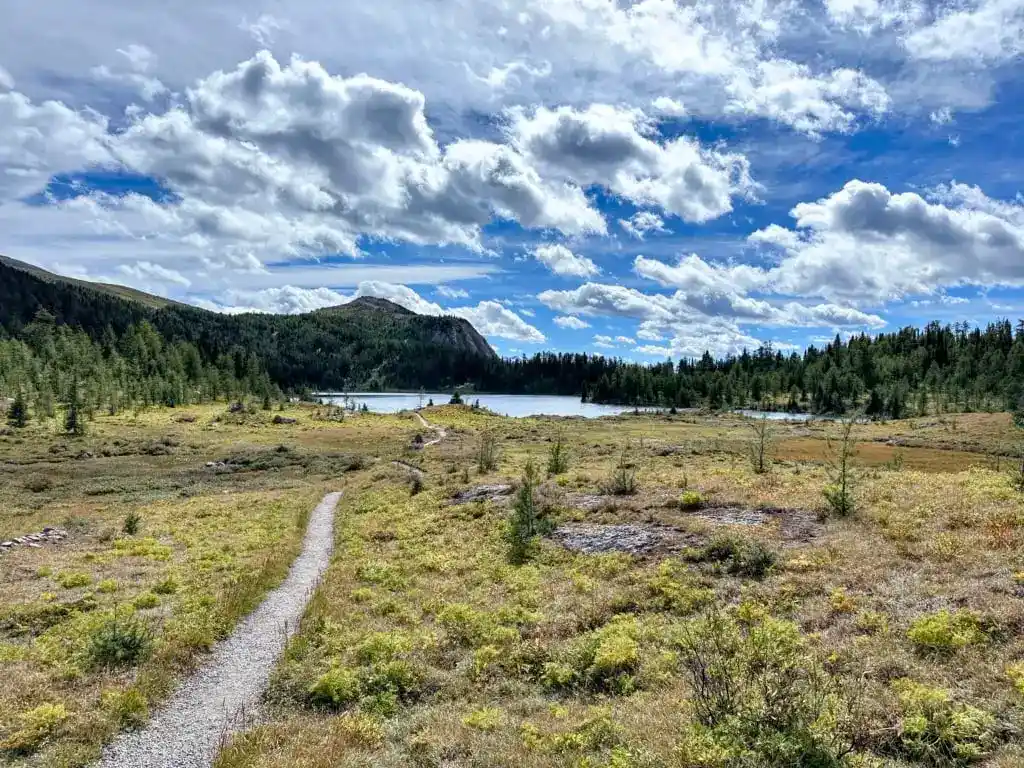 Looking back through wildflower meadows to Laryx Lake