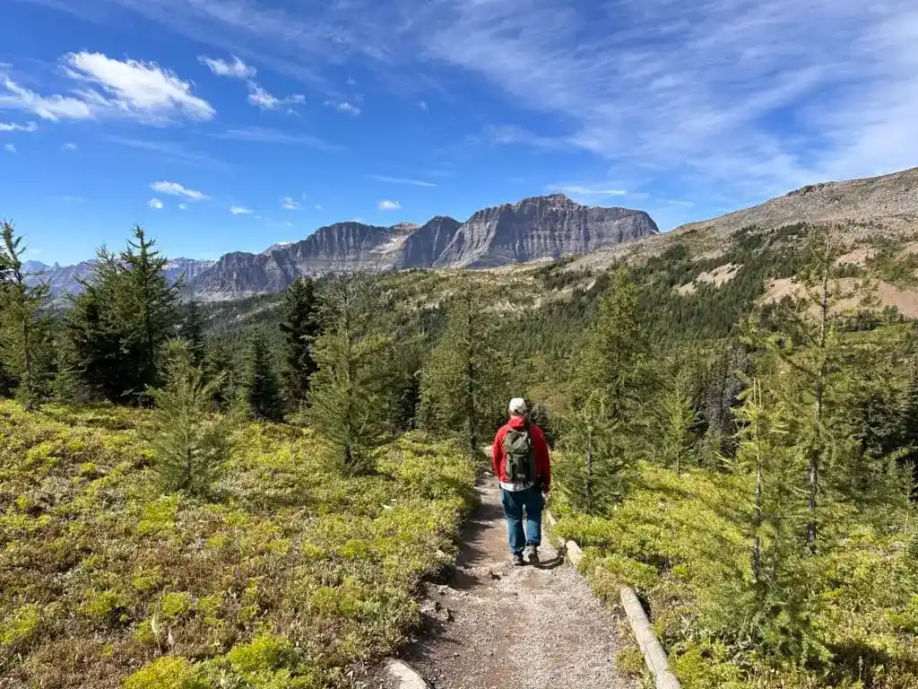 A hiker at Sunshine Meadows near Banff