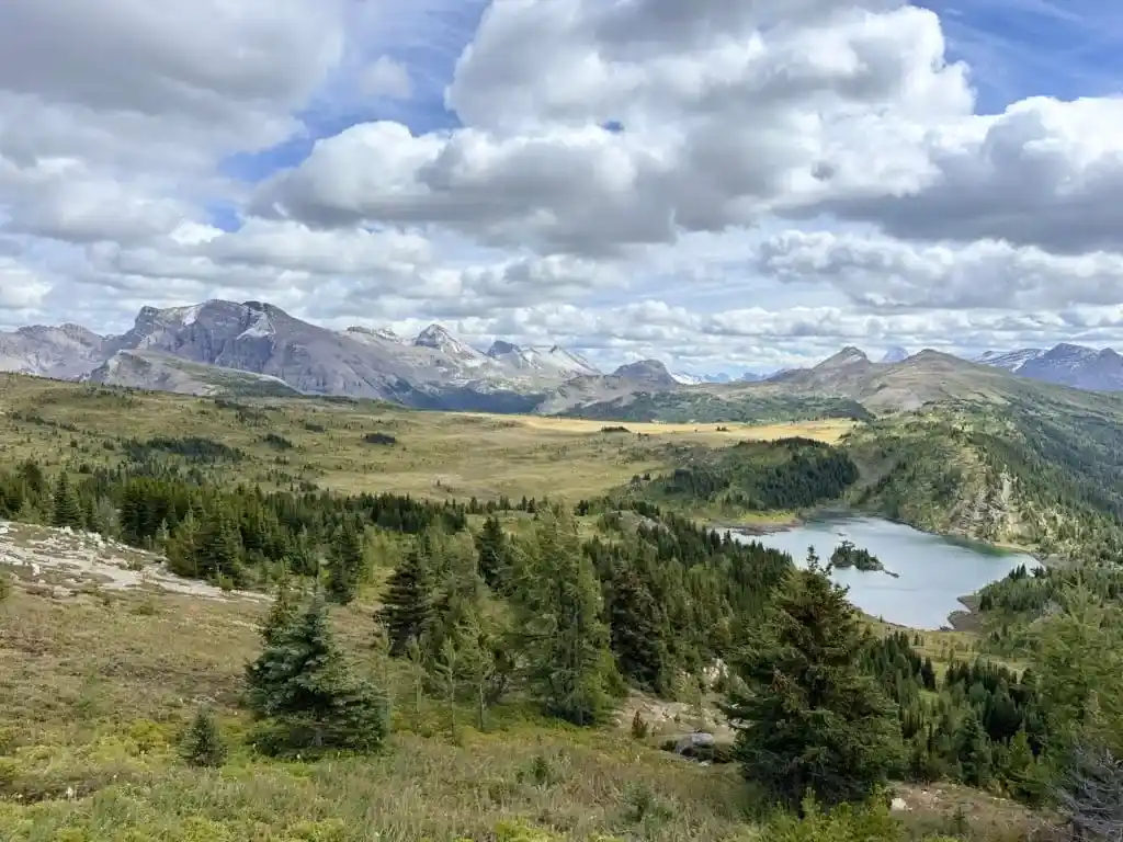 Looking towards Citadel Pass from Sunshine Meadows