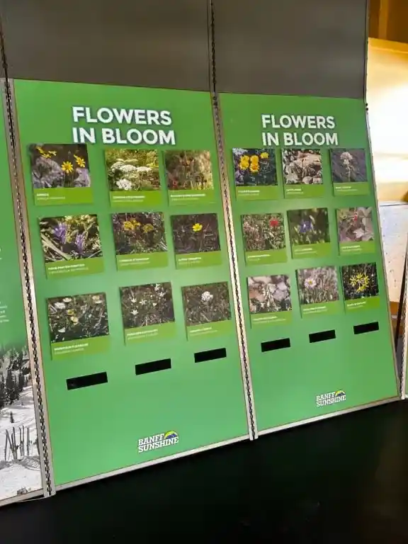 An info board at the Sunshine Meadows Interpretive Centre shows which flowers are in bloom
