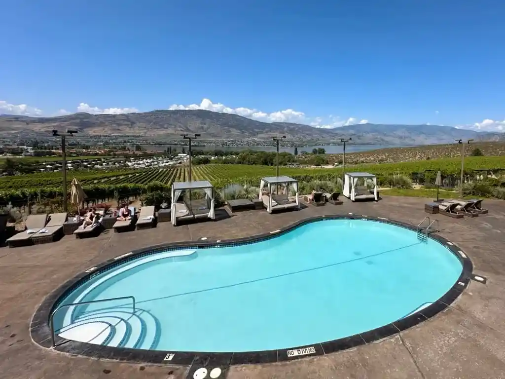 View from the patio at The Bear, The Fish, The Root & The Berry in Osoyoos