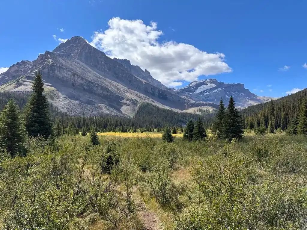 View of the mountains from near Merlin Meadows Camp