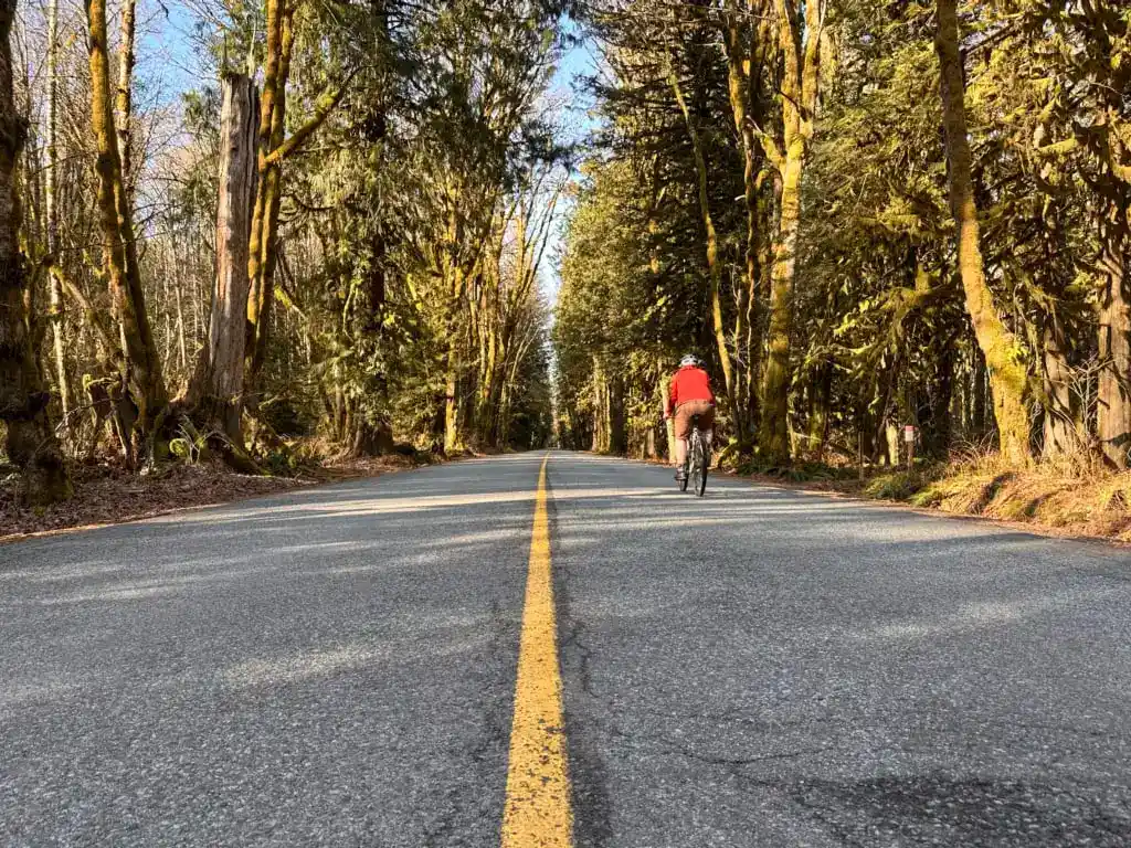Biking the Paradise Valley Road in Squamish